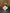 Linear Round Ornaments