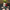 Christmas Tree Snap-in Ornament Design - STL File