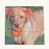 Puzzle Magnet Set